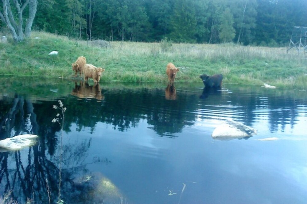 Photo of Others in Ryd