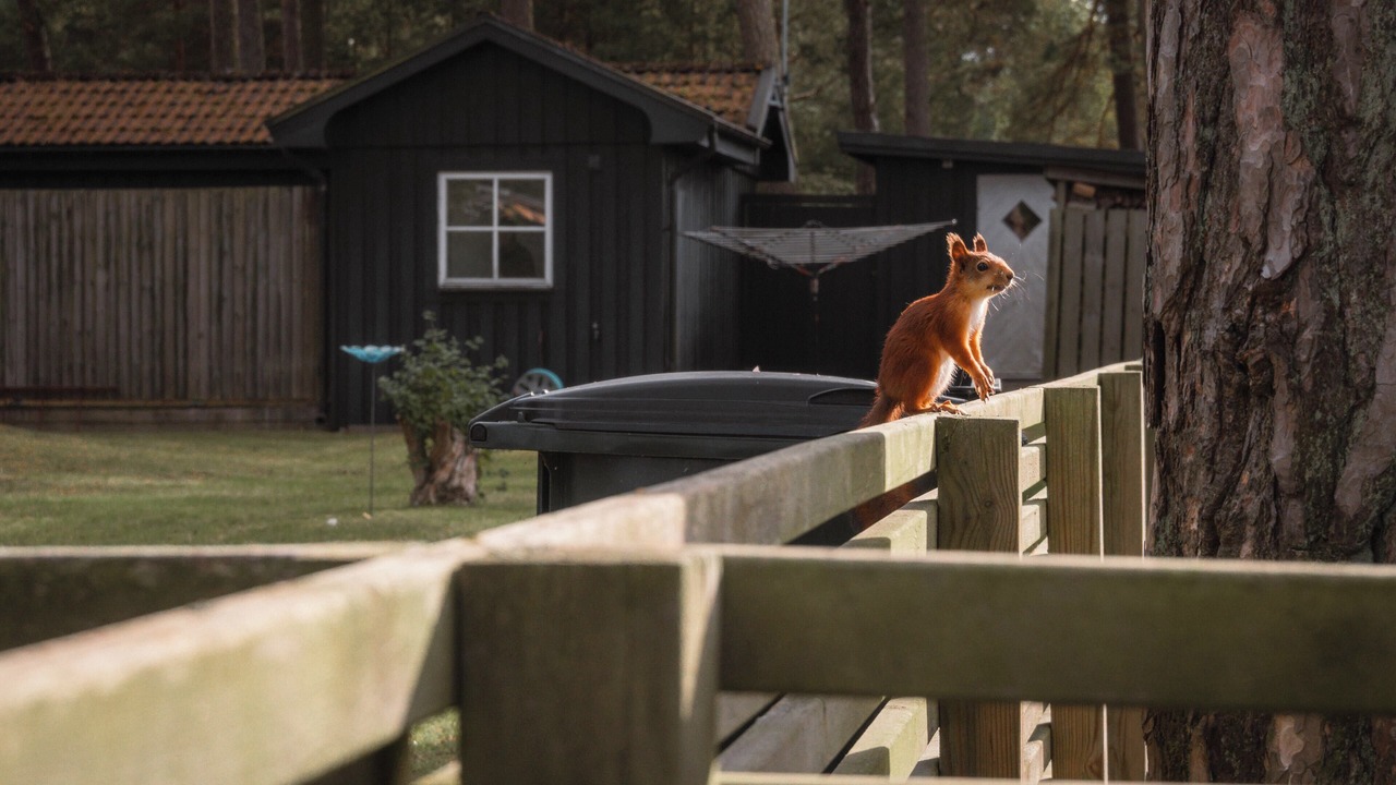 Photo of Outdoor in Aahus