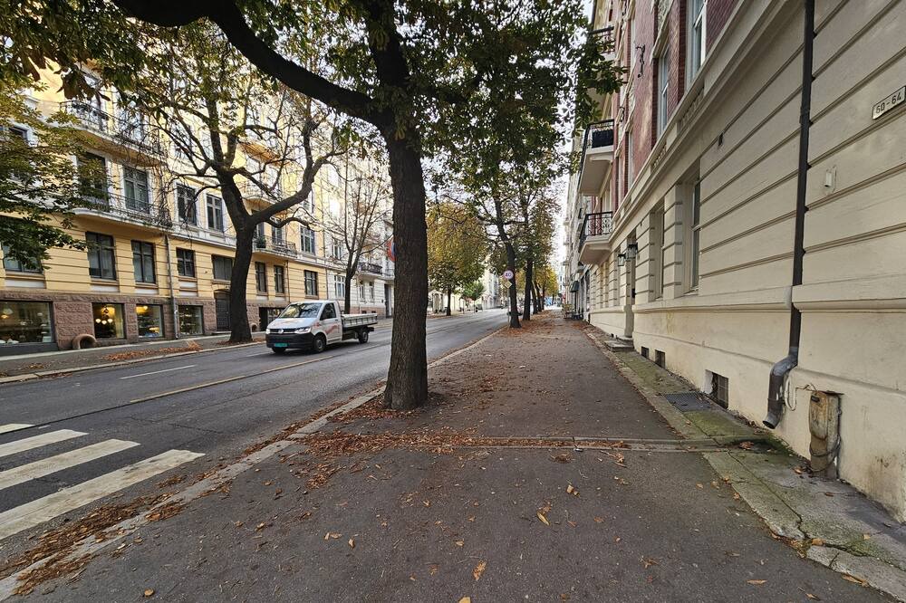 Photo of Others in Frogner
