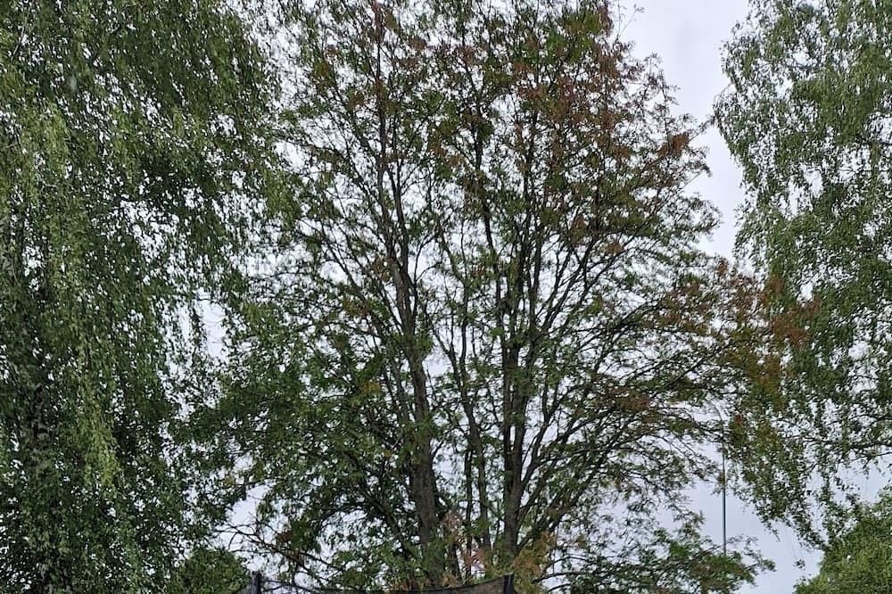 Photo of Outdoor in Morlunda