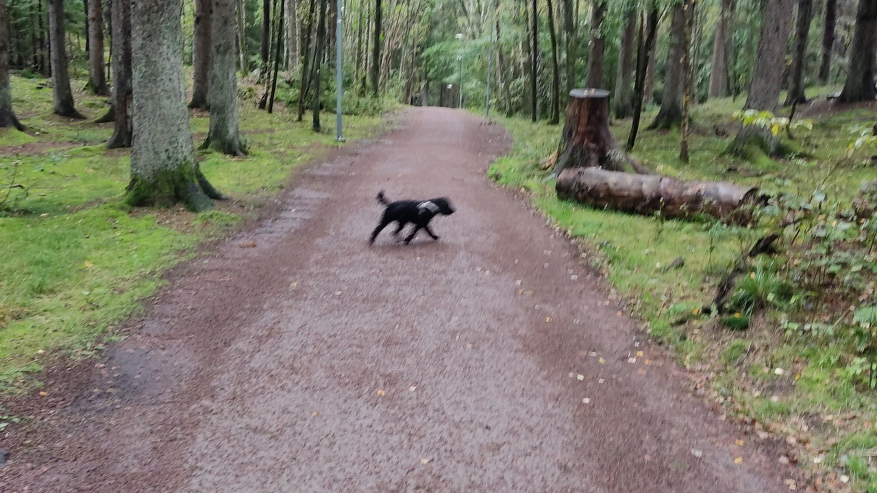 Photo of Outdoor in Molndal