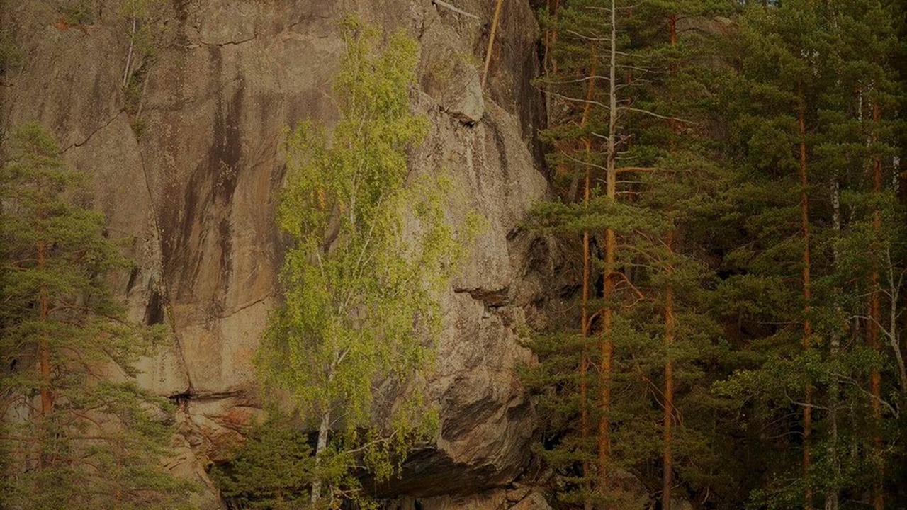 Photo of Others in Tiainen