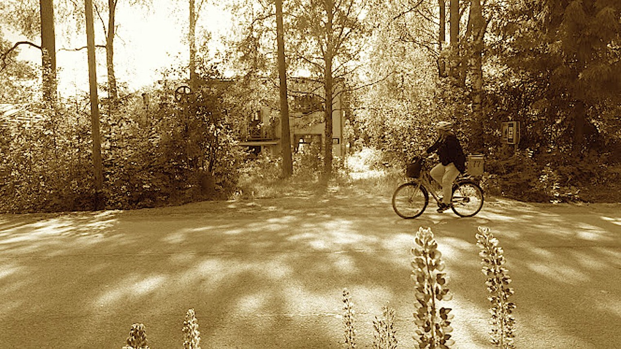Photo of Outdoor in Koria