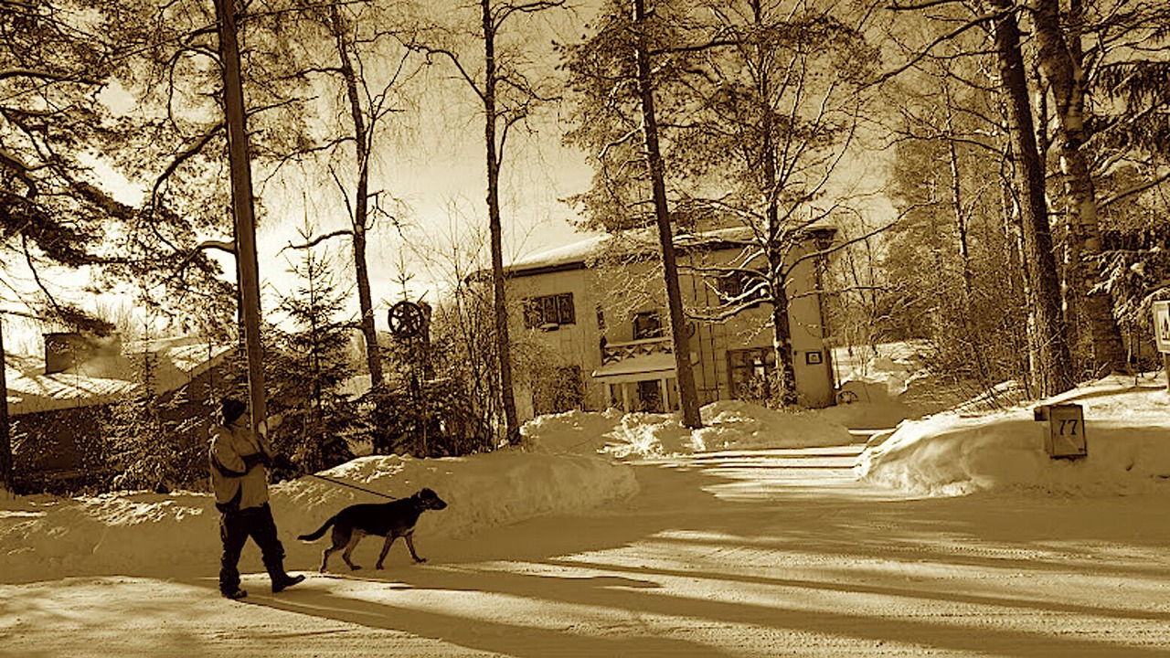 Photo of Outdoor in Koria