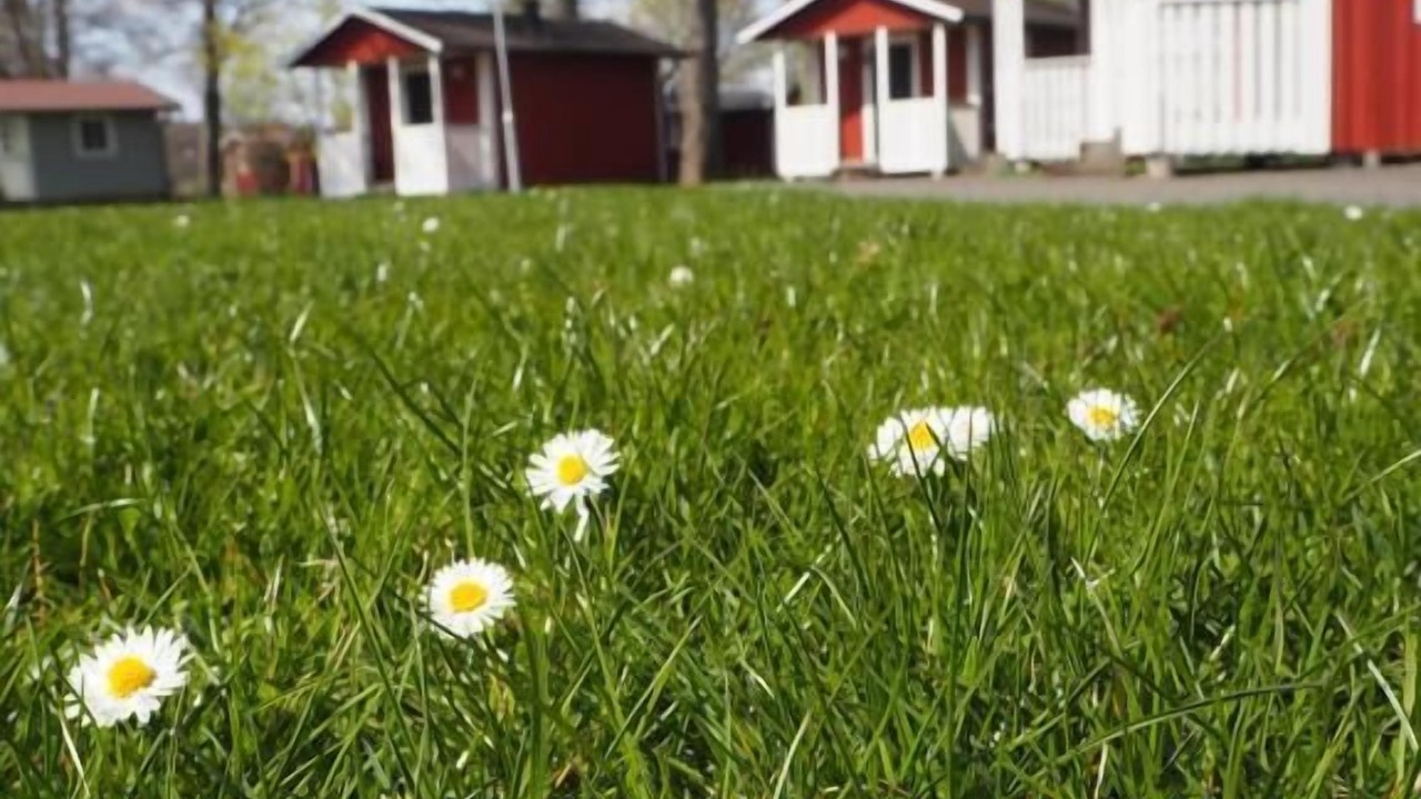 Photo of Outdoor in Norra Skara