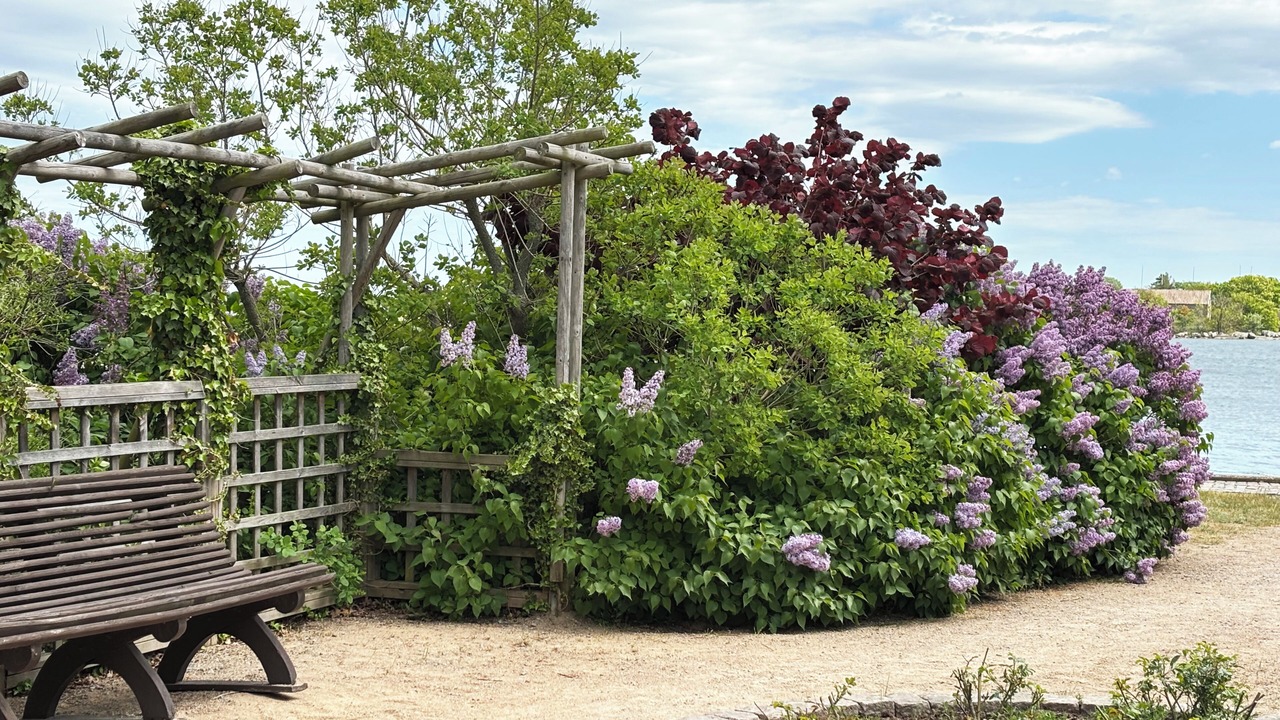 Photo of Outdoor in Karlskrona