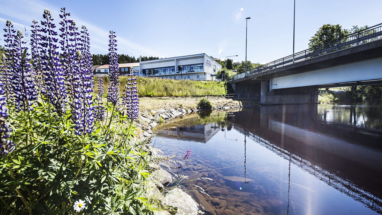 Photo of Outdoor in Bengtsfors