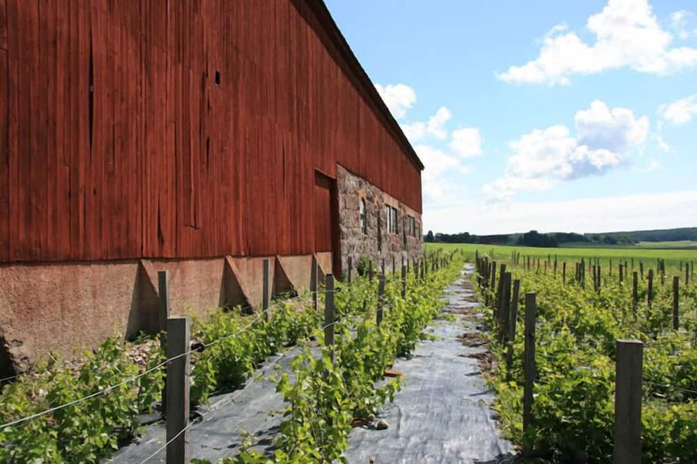 Photo of Outdoor in Flen