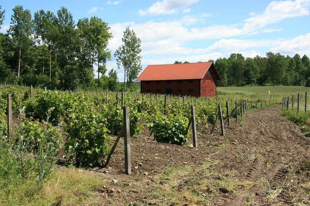 Photo of Outdoor in Flen