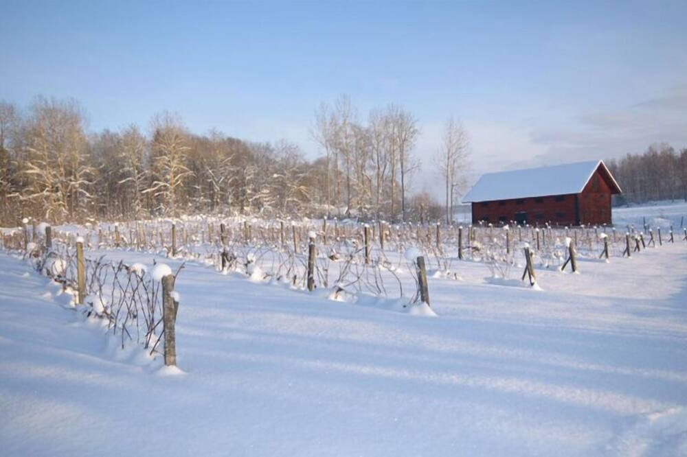 Photo of Outdoor in Flen