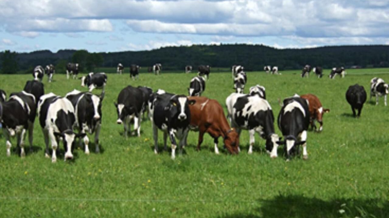 Photo of Others in Halmstad Municipality