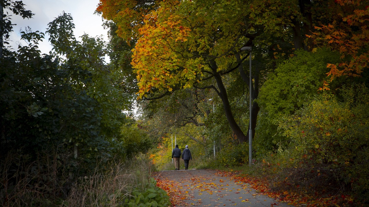 Photo of Outdoor in Solna