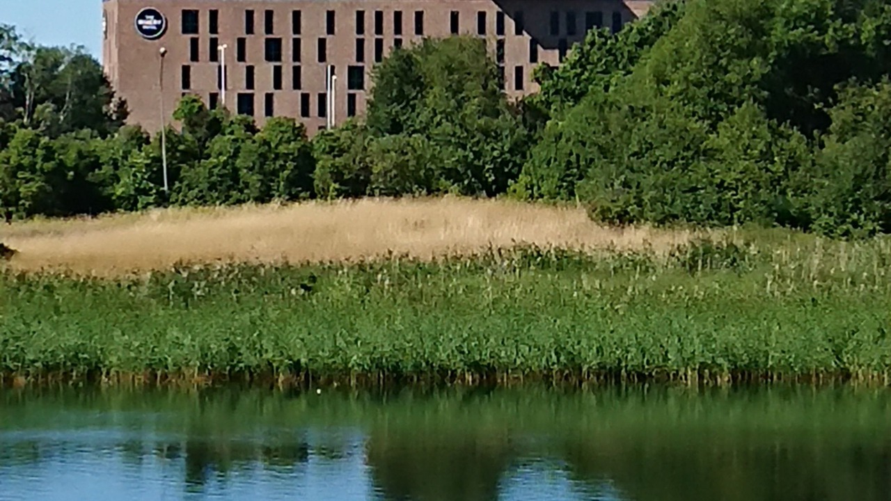 Photo of Outdoor in Solna