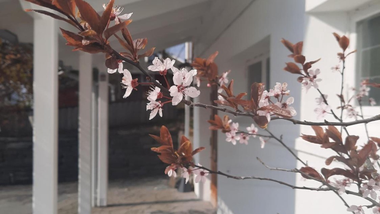 Photo of Outdoor in Tau