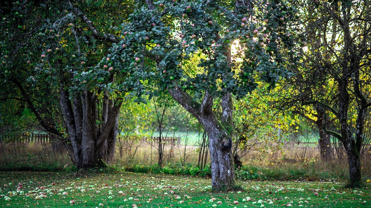 Photo of Outdoor in Gransholm