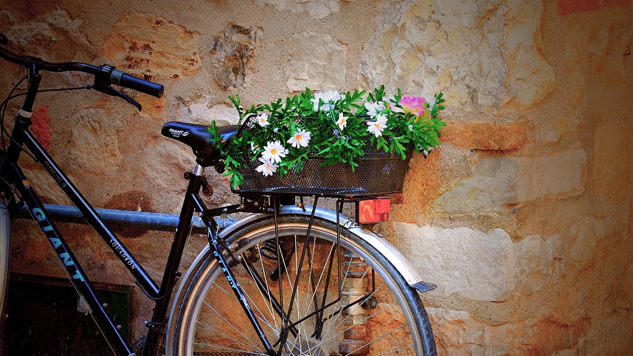 Photo of Others in Gamla Stan