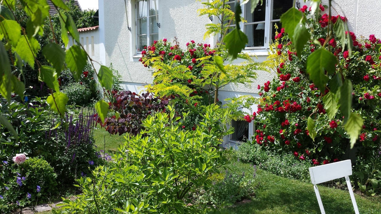 Photo of Outdoor in Falkenberg