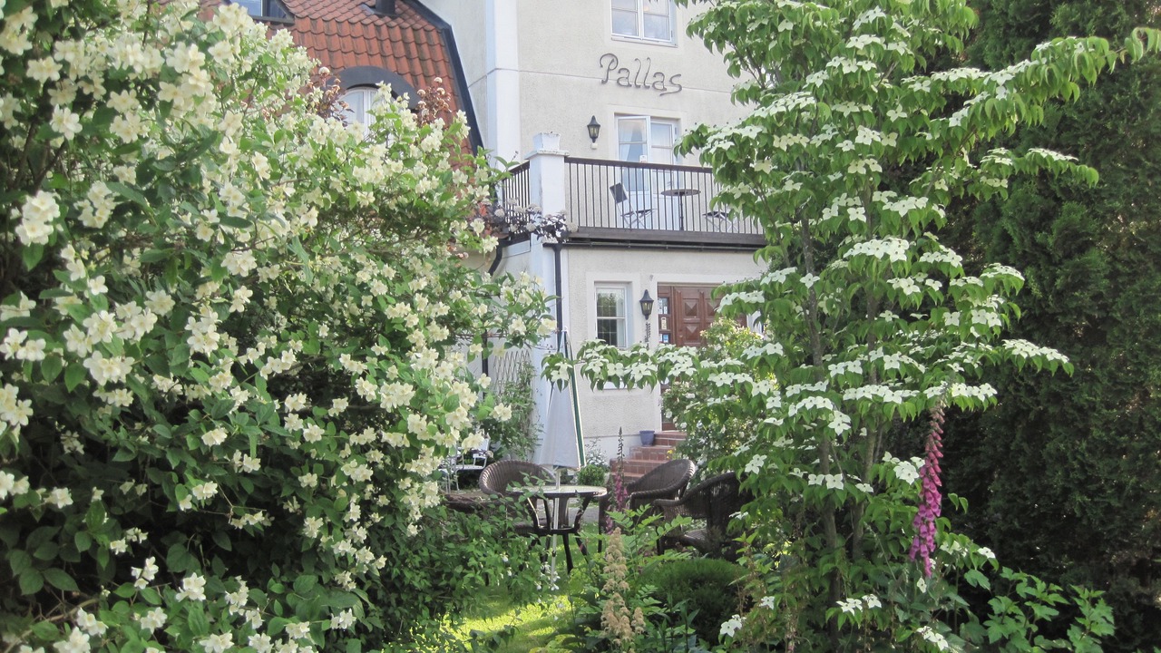 Photo of Outdoor in Falkenberg