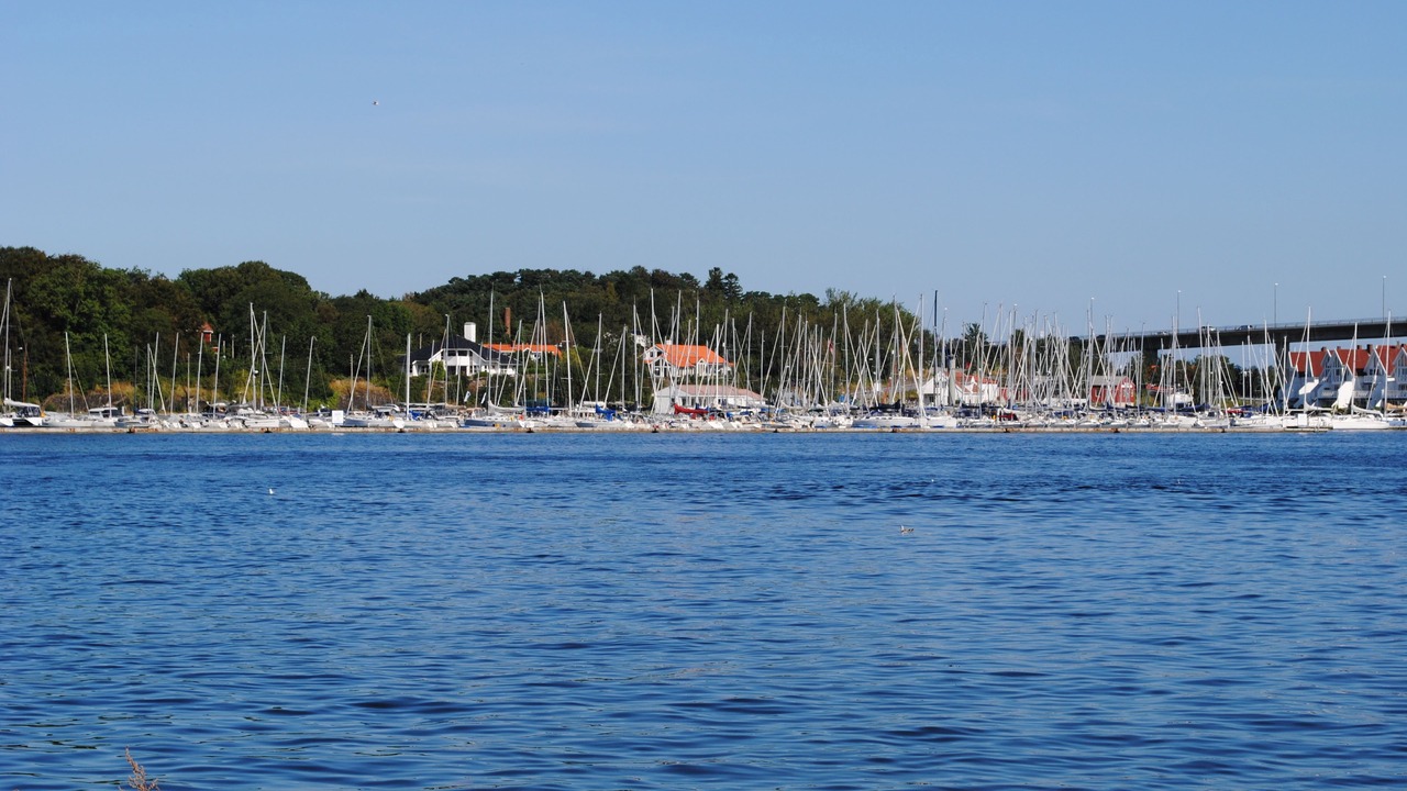 Photo of Others in Stavanger