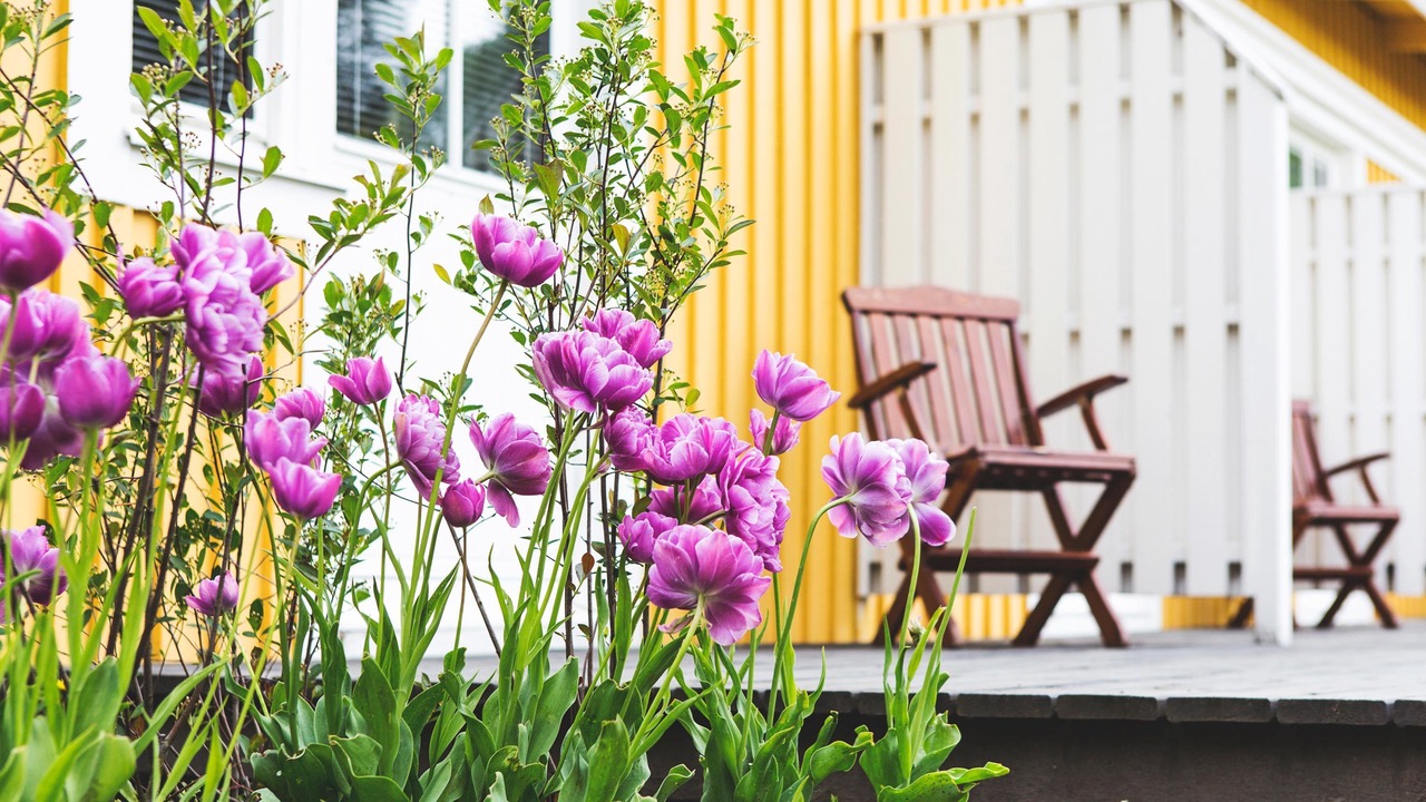 Photo of Outdoor in Upplands-Bro Municipality
