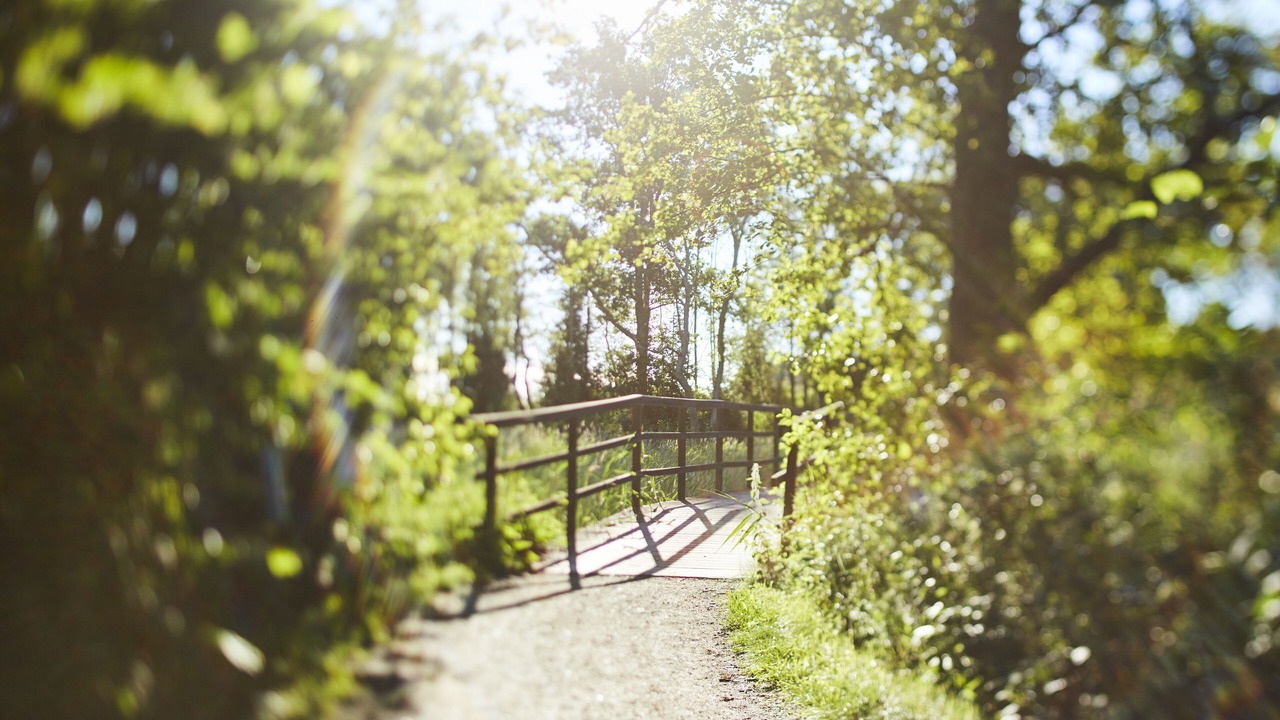 Photo of Outdoor in Sodersvik