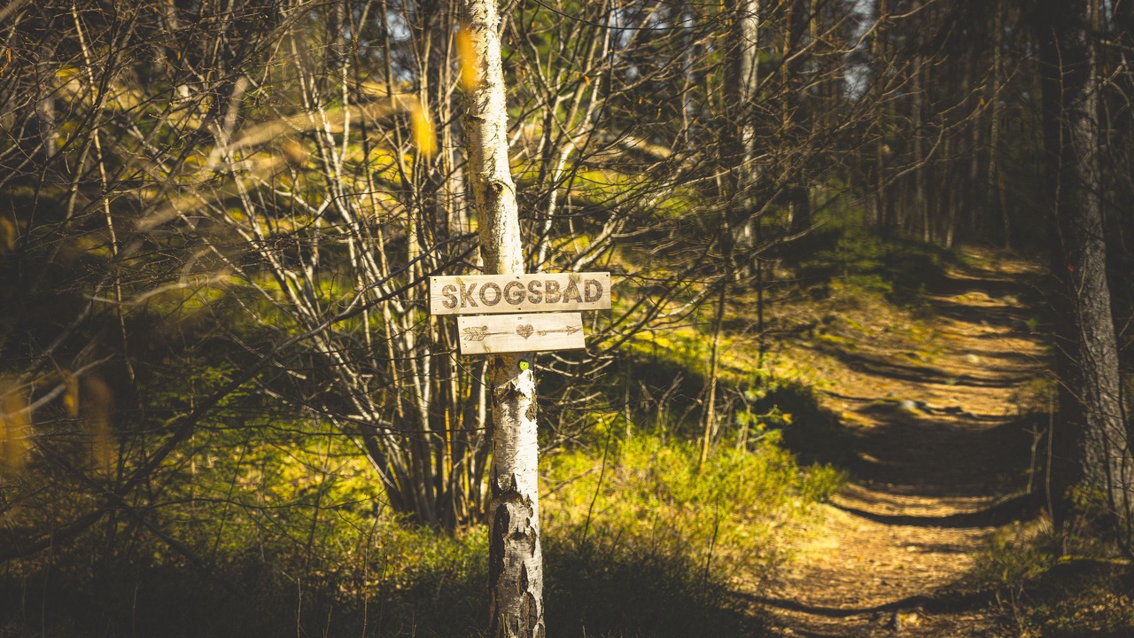 Photo of Others in Sodersvik