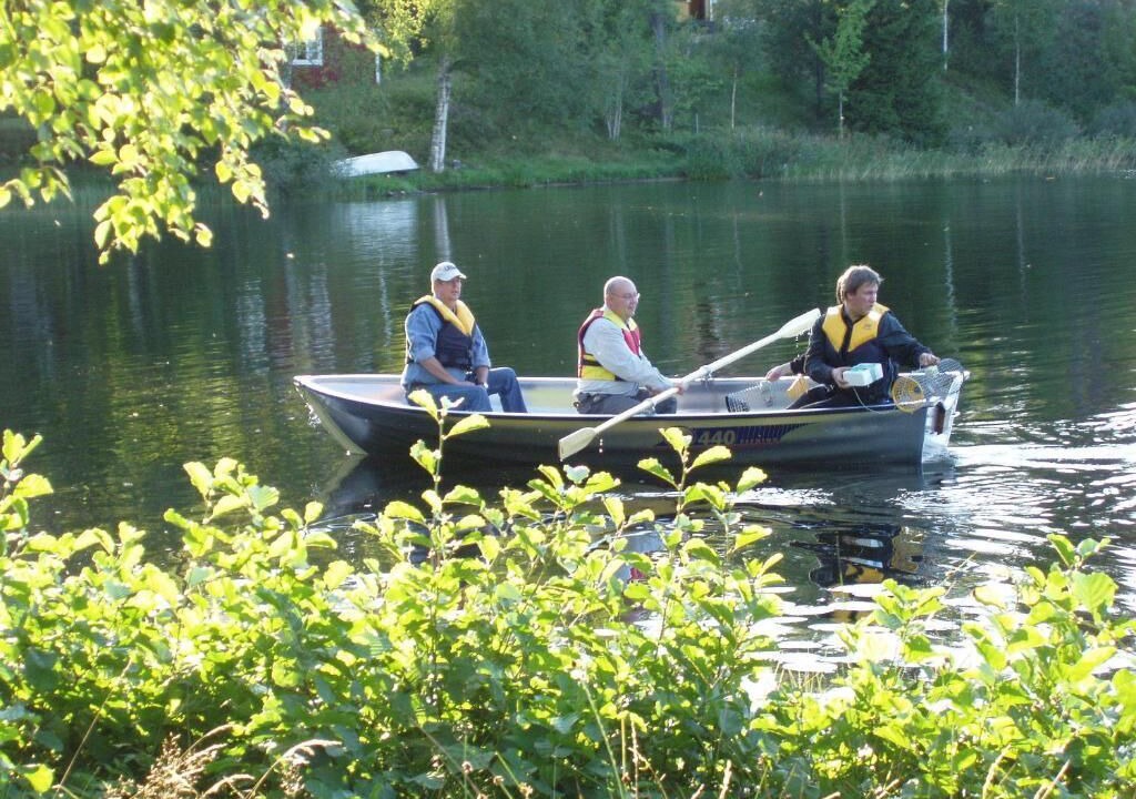 Photo of Others in Mullsjo