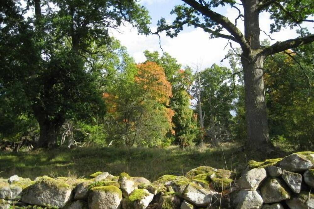 Photo of Outdoor in Skruv