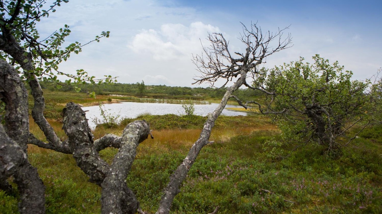 Photo of Outdoor in Morkret