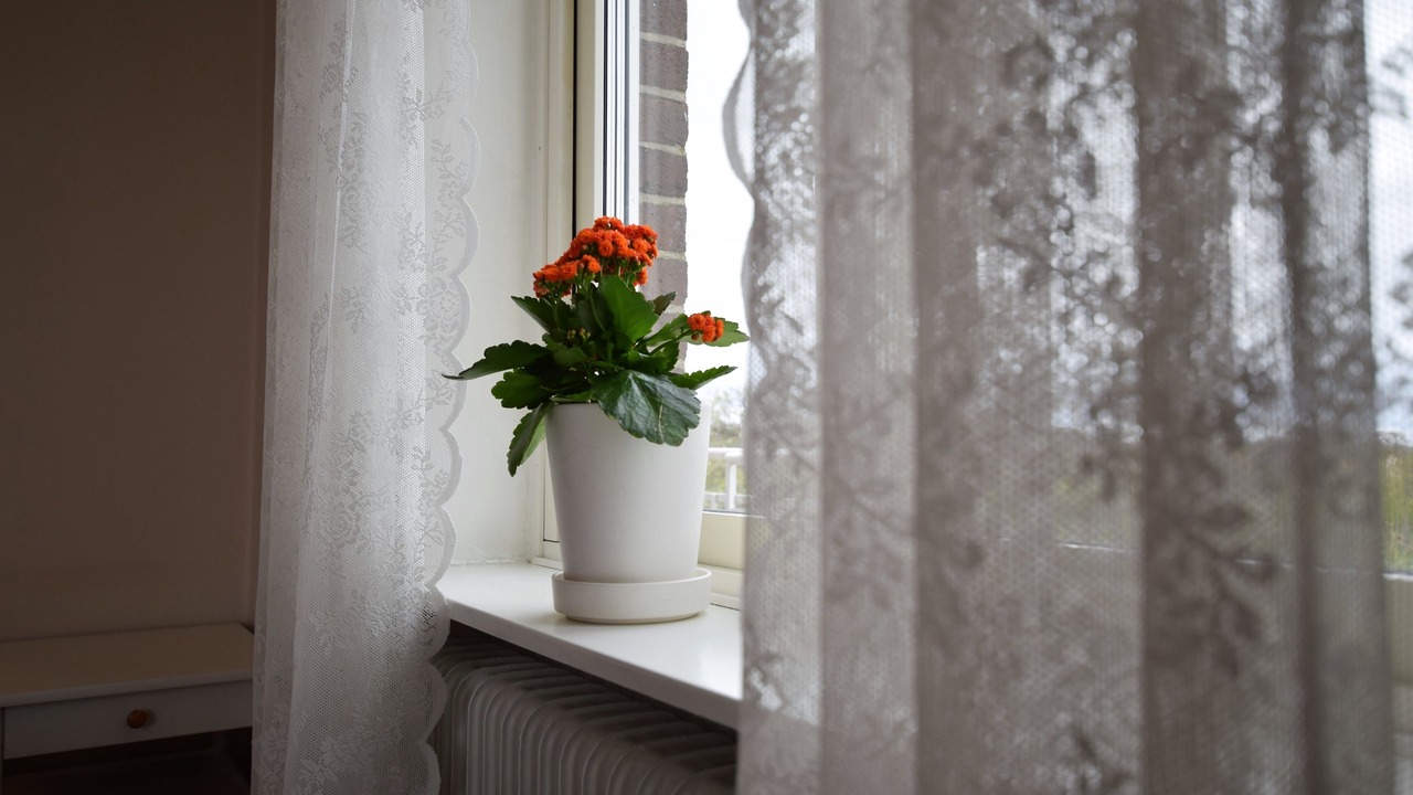 Photo of Others in Jonstorp