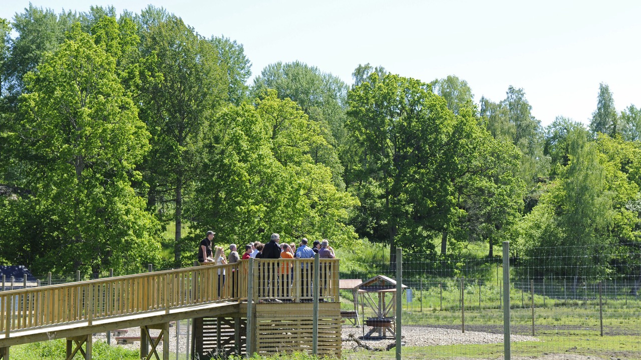 Photo of Outdoor in Bjornlunda
