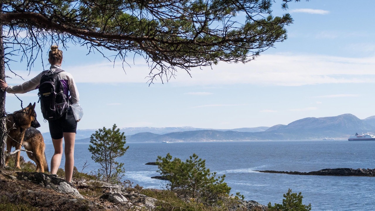 Photo of Outdoor in Hitra