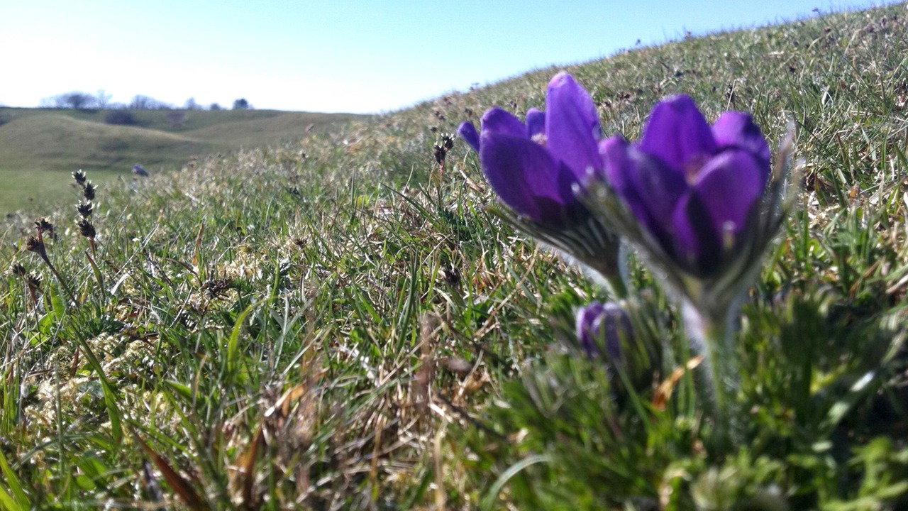 Photo of Outdoor in Ostra Karup