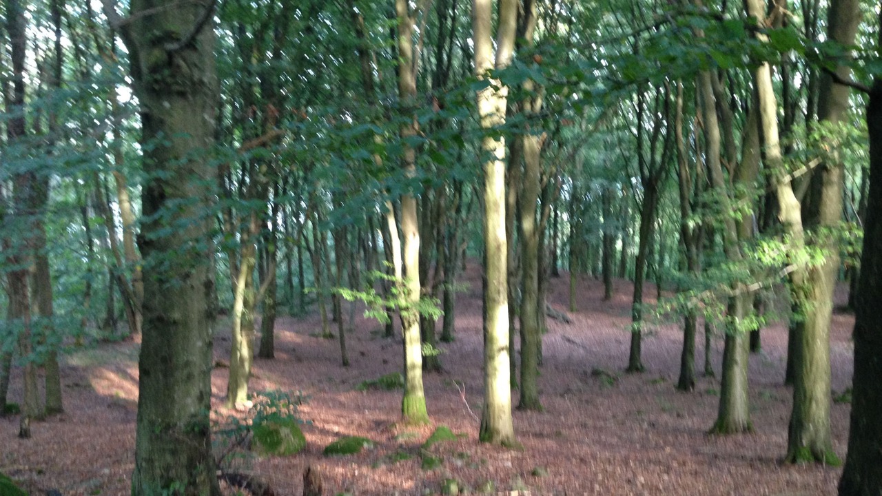 Photo of Outdoor in Ostra Karup
