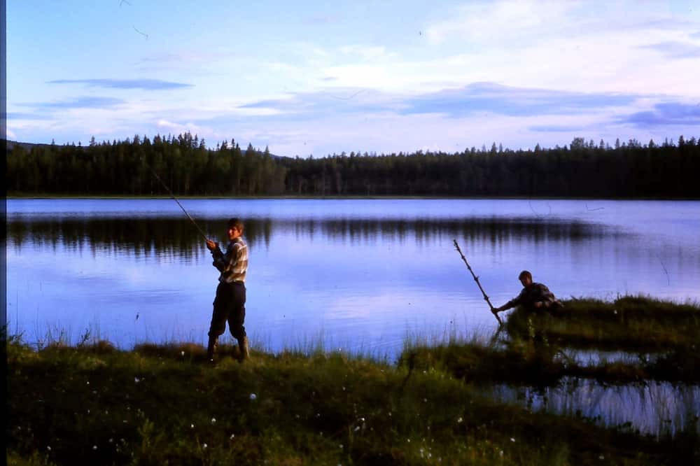 Photo of Others in Letafors