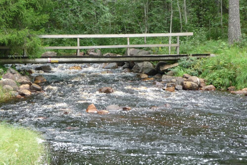 Photo of Others in Letafors