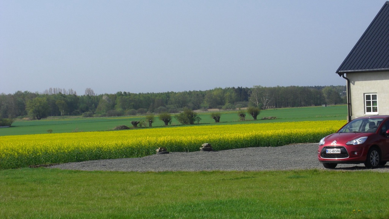 Photo of Others in Malarhusens