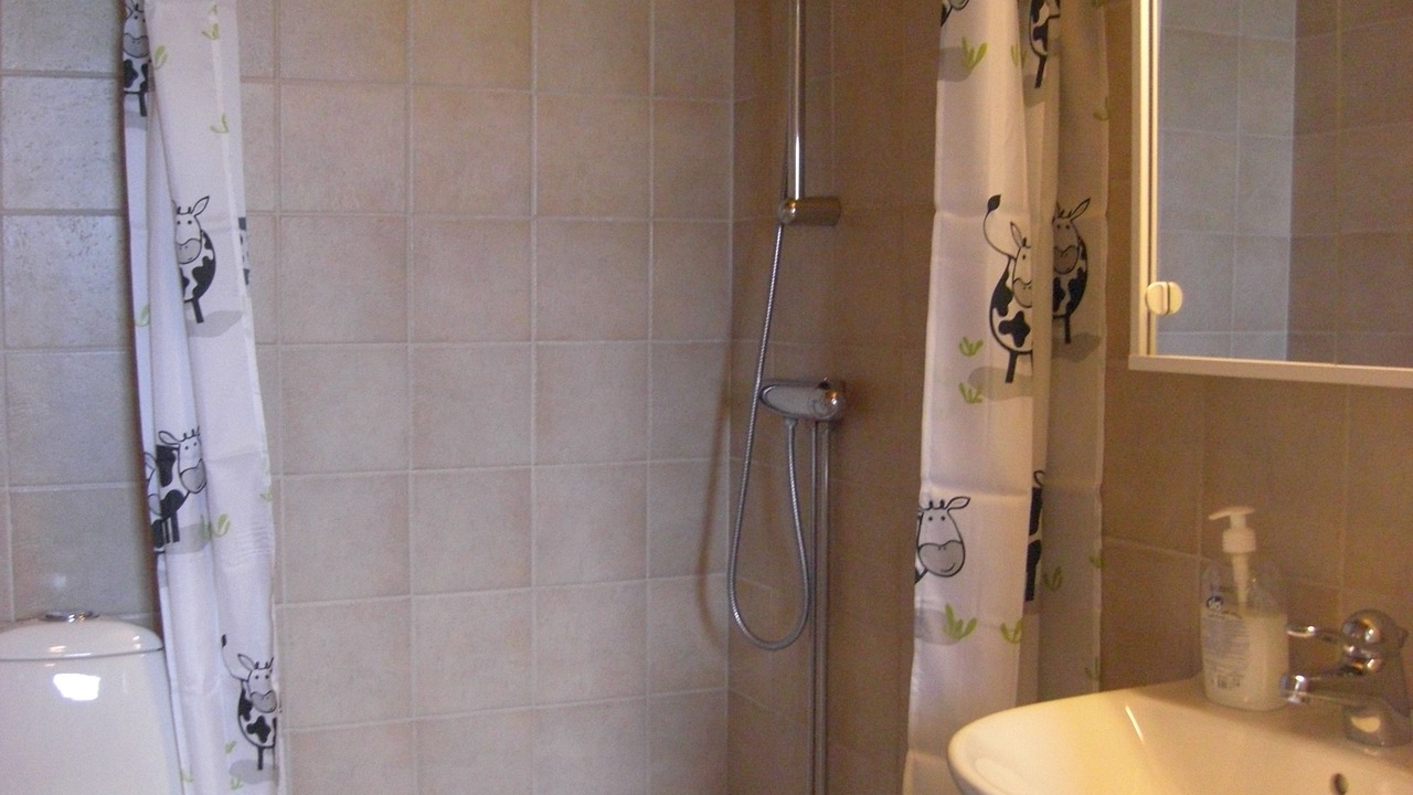 Photo of Bathroom in Malarhusens