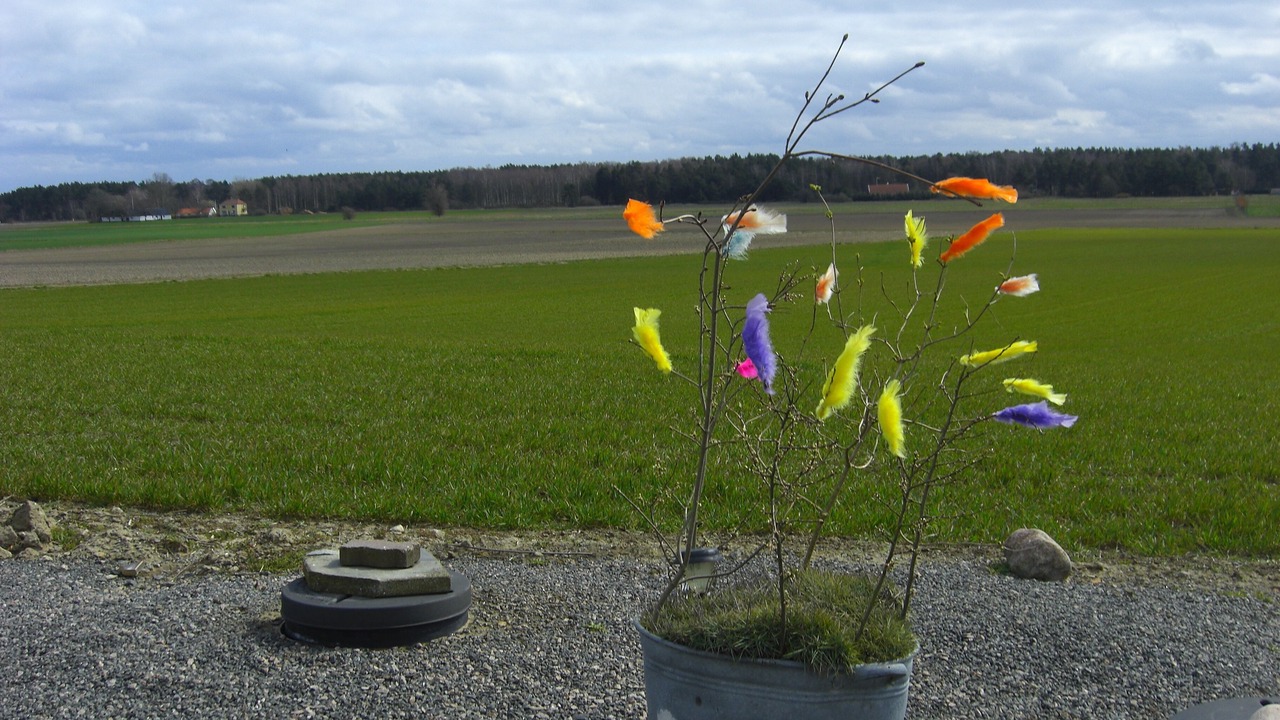 Photo of Outdoor in Malarhusens