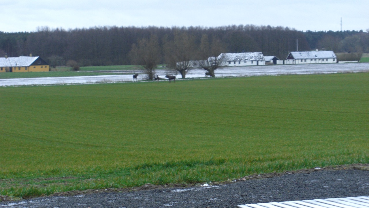 Photo of Outdoor in Malarhusens