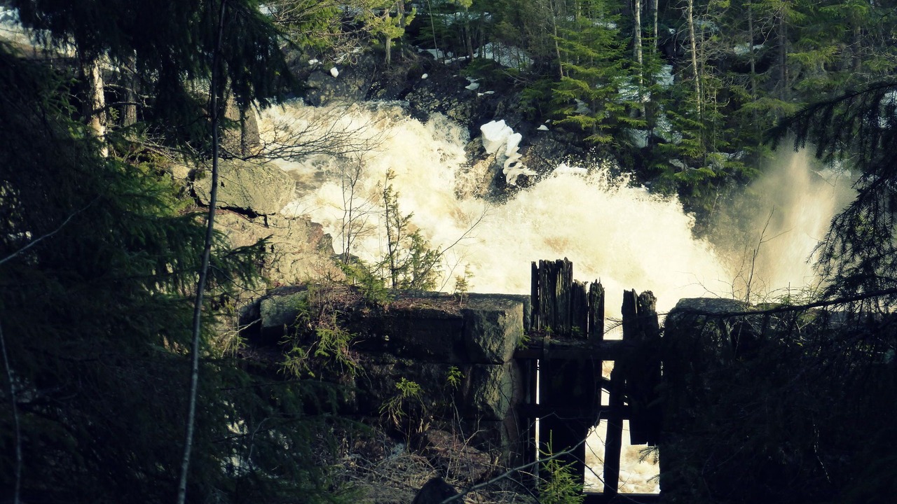 Photo of Others in Letafors