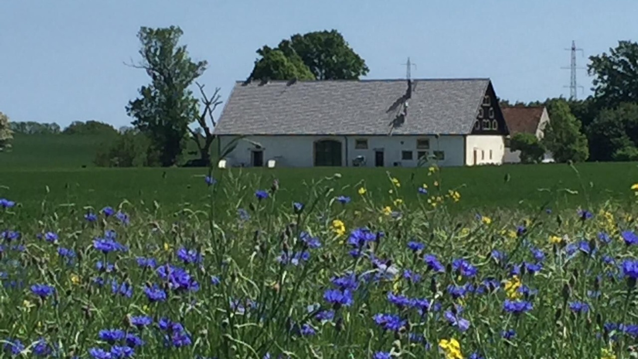 Photo of Outdoor in Borrby
