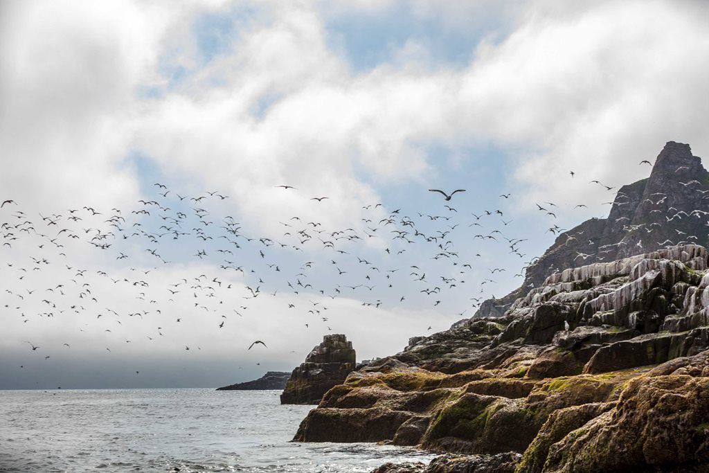 Photo of Others in Batsfjord