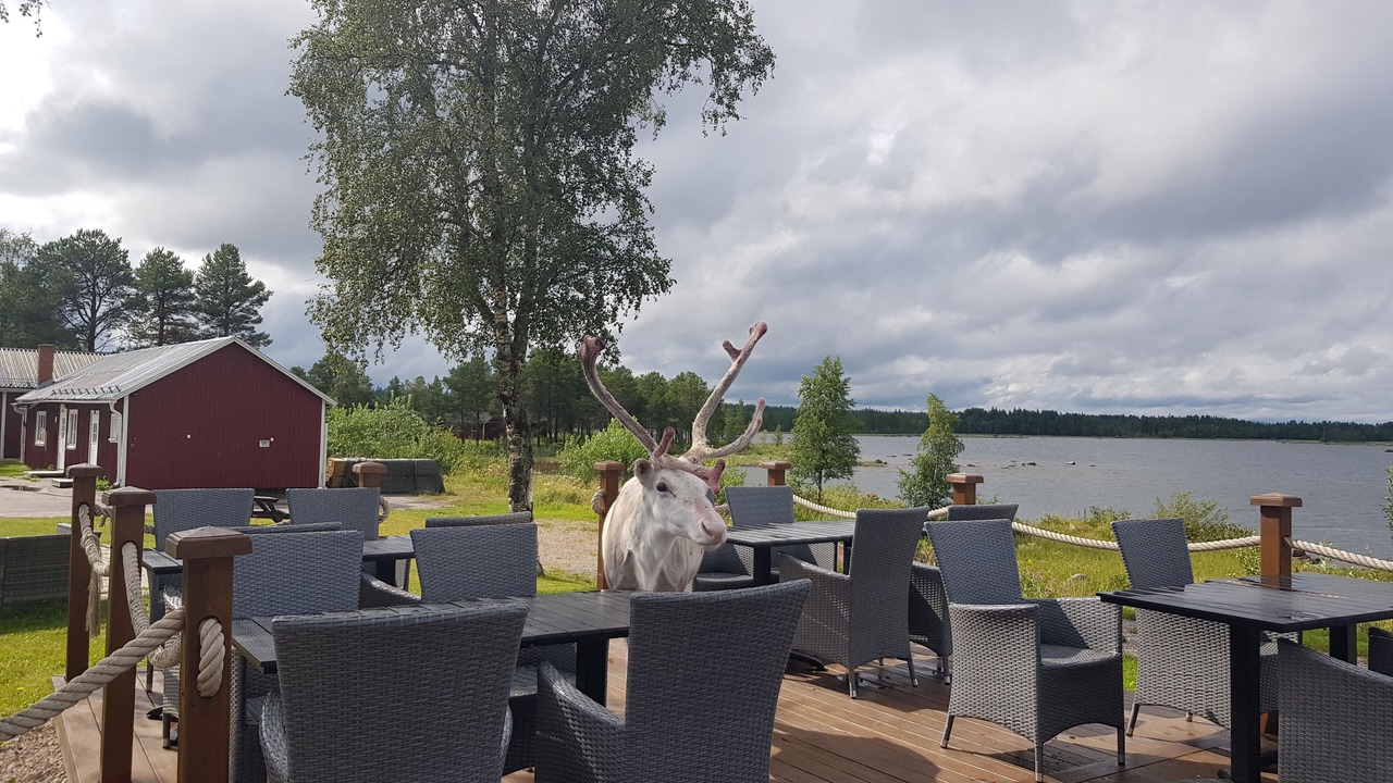 Photo of Outdoor in Arjeplog