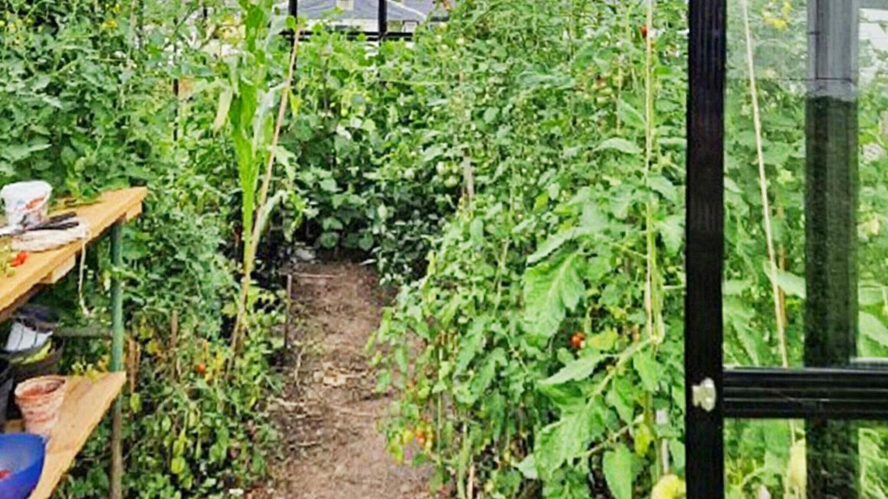 Photo of Outdoor in Adelso