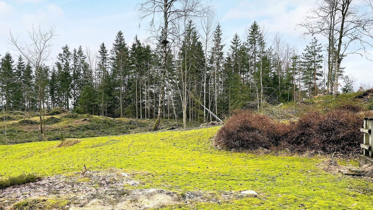 Photo of Outdoor in Prassebo
