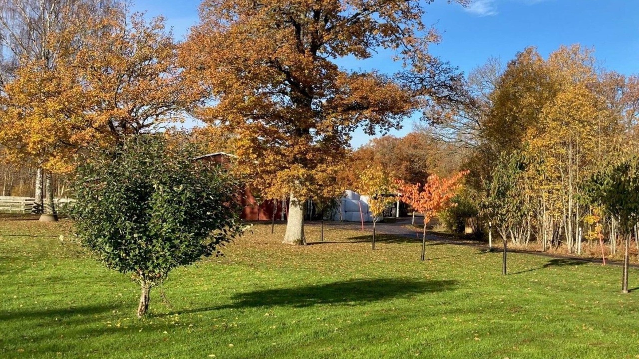 Photo of Outdoor in Sorbo