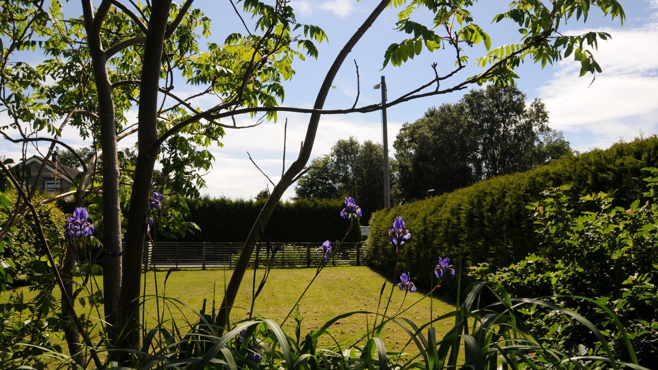 Photo of Outdoor in Asa