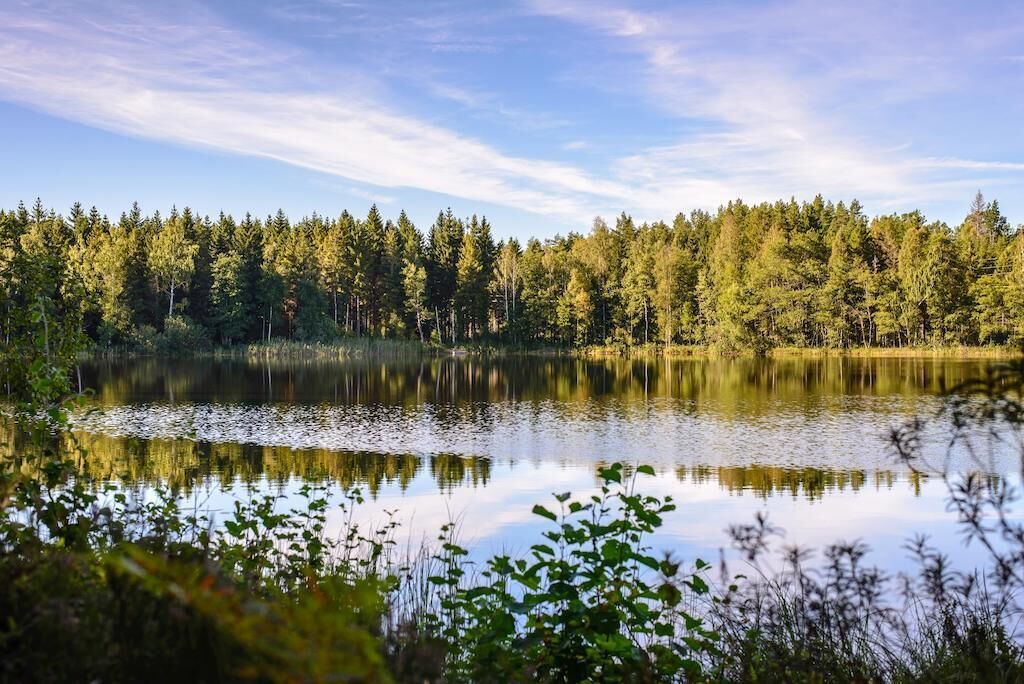 Photo of Others in Hultsfred