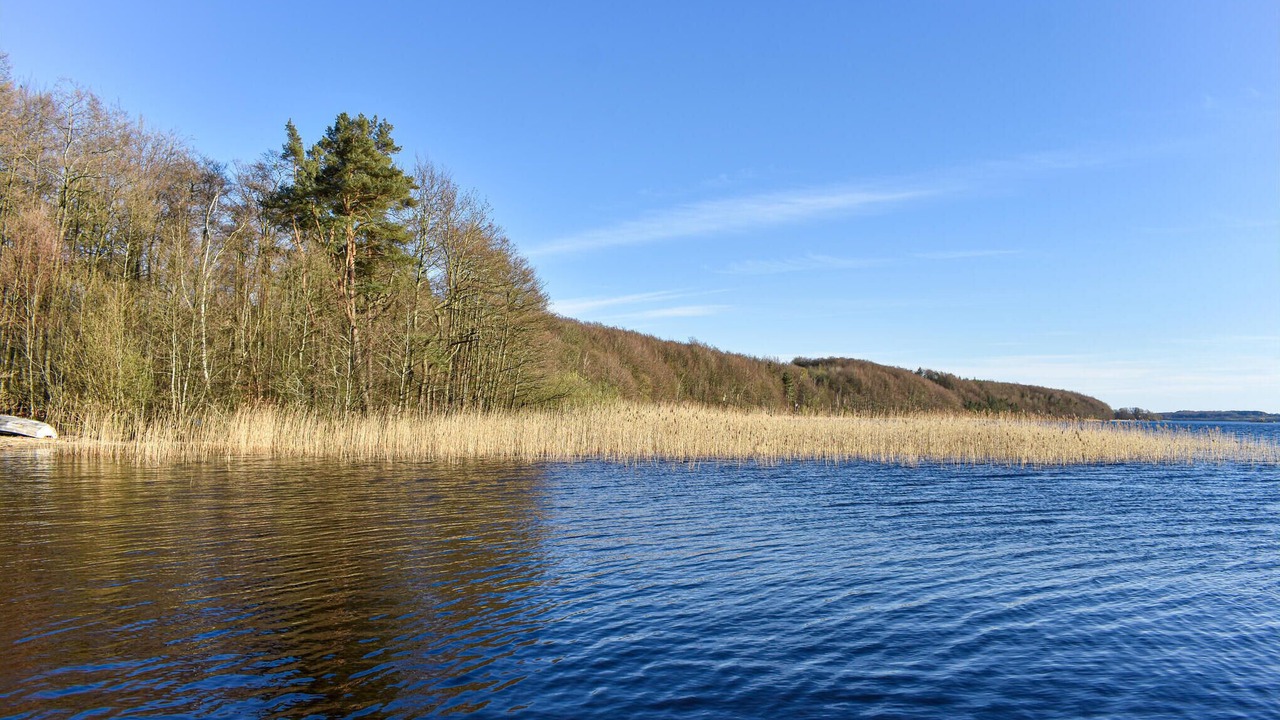 Photo of Others in Fjalkinge